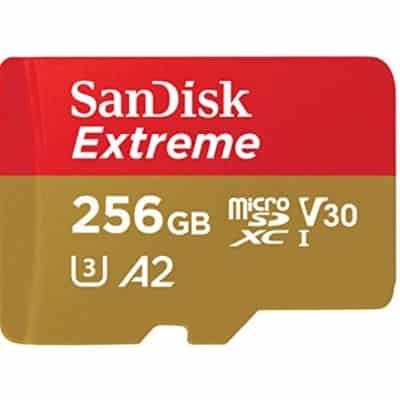 SANDISK 256GB - Best SD Card for GoPro HERO 9
