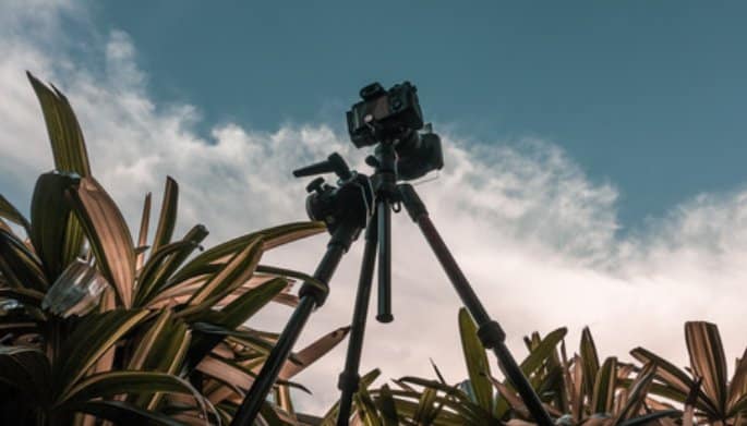 Best Tripod For Sony A7R IV