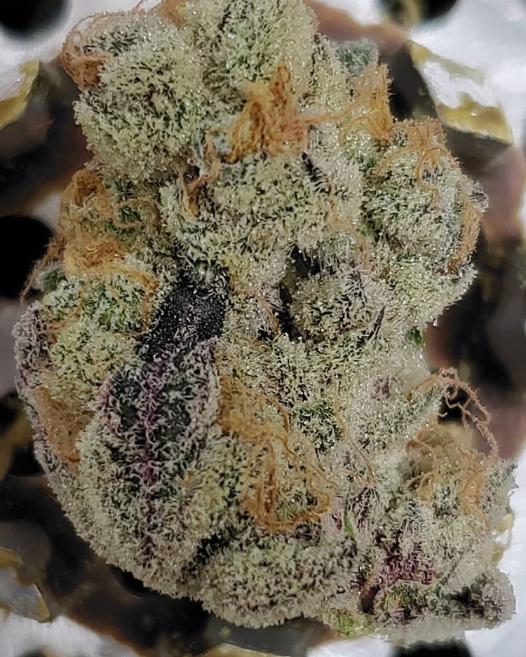 Buy Medical Cannabis kush lemon haze British Buy Marijuana On line